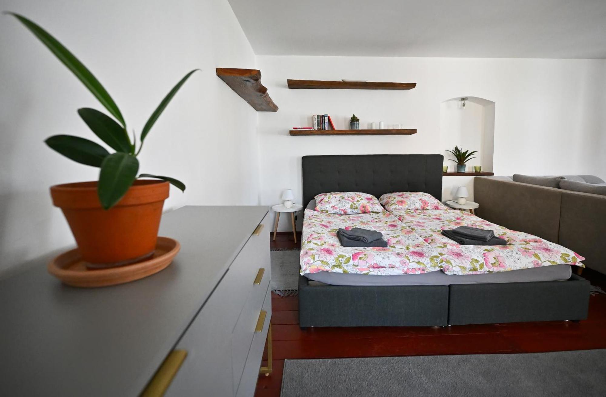 Apartman U Spinaru Třešť Esterno foto